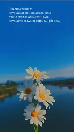 caption + màu
