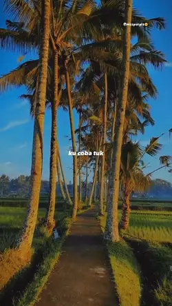 Percuma