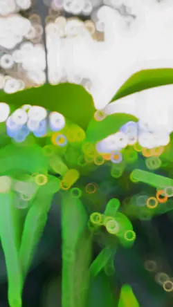 🍃🍃