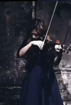 Violis