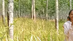 ទី8អាចធ្វើបាន