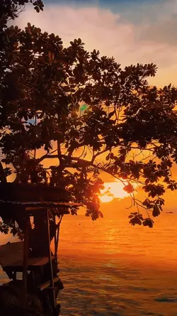 SUNSET ESTETIK
