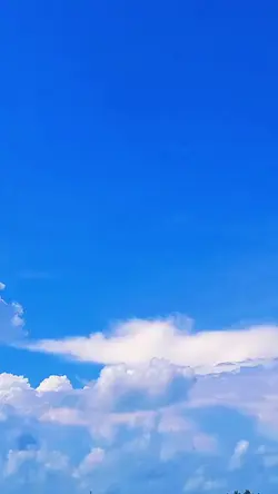 1 video 