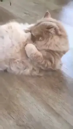 นุดๆ