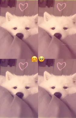 คนใช้น่ารักจังง🥺