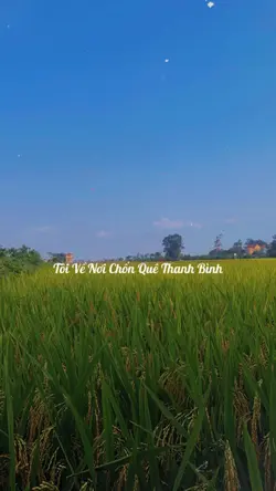 Chốn quê thanh bình