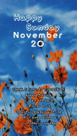 NOVEMBER 20