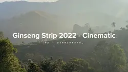 Ginseng Strip 2002