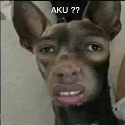 meme foto aib teman 