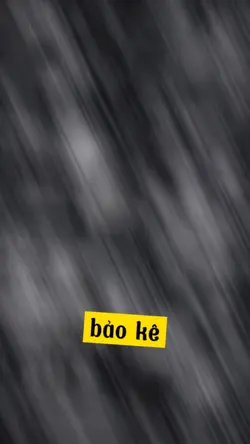 Mẫu bảo kê giật 2 ản