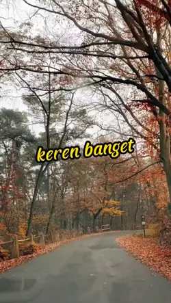 Hutan Vlog 
