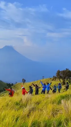 Video Random
