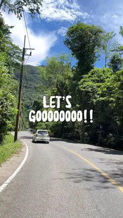 Let’s goooo 🌿🌳