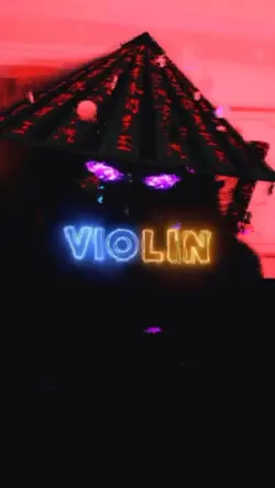 Violin For You