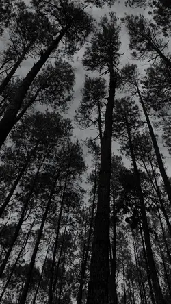 Black and white