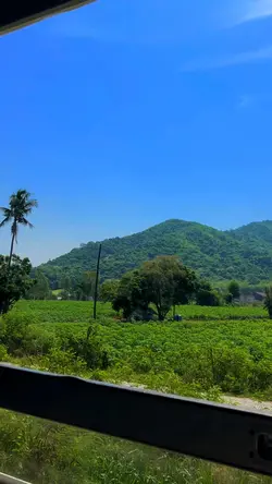 ธรรมชาติบำบัด