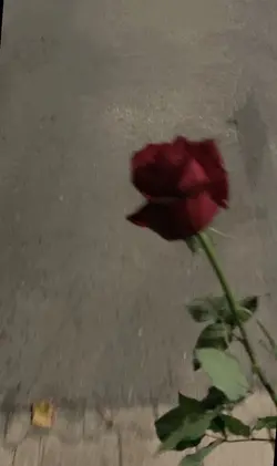 Clip 2 hình