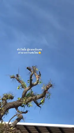 แจกครับ ใส่1รูปได้เลยย