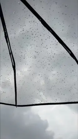 Rainy day's