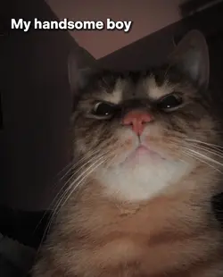my handsome boy