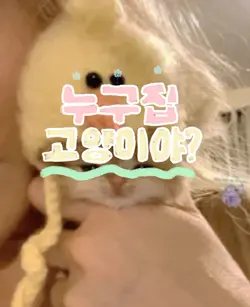 고양이 ver
