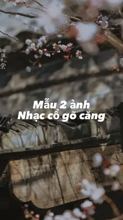 [2]ảnh vòng lặp