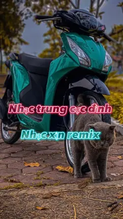 Nhạc xịn remix 