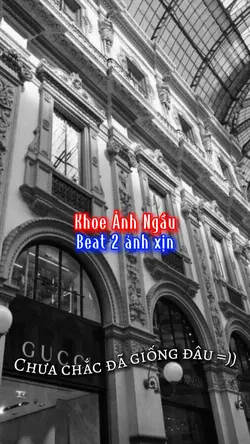 BEAT 2 ẢNH NGẦU