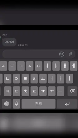 플래시 뺀버전