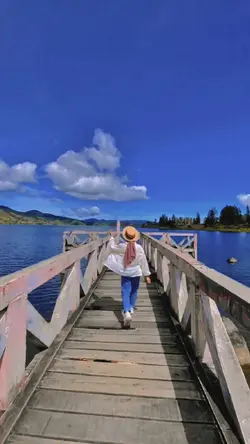 221 slowmo video