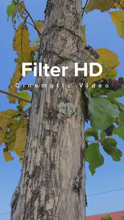 Cinematic HD