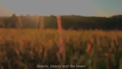 3 Vidio cinematic