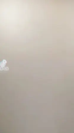 Video X Video