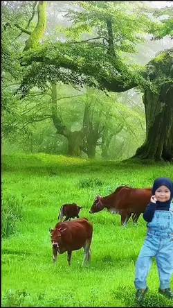 Angon Sapi