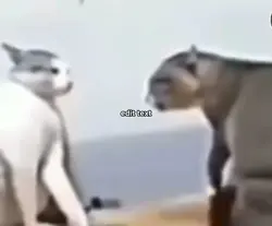 MACARENA