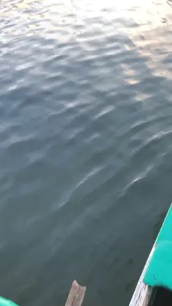 smooth slowmo