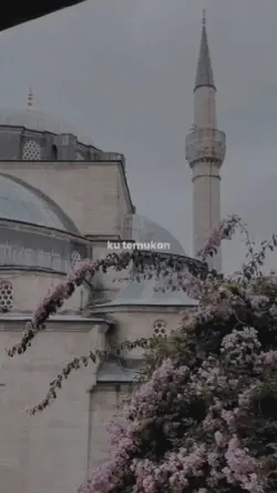 1 VIDEO + 4 FOTO