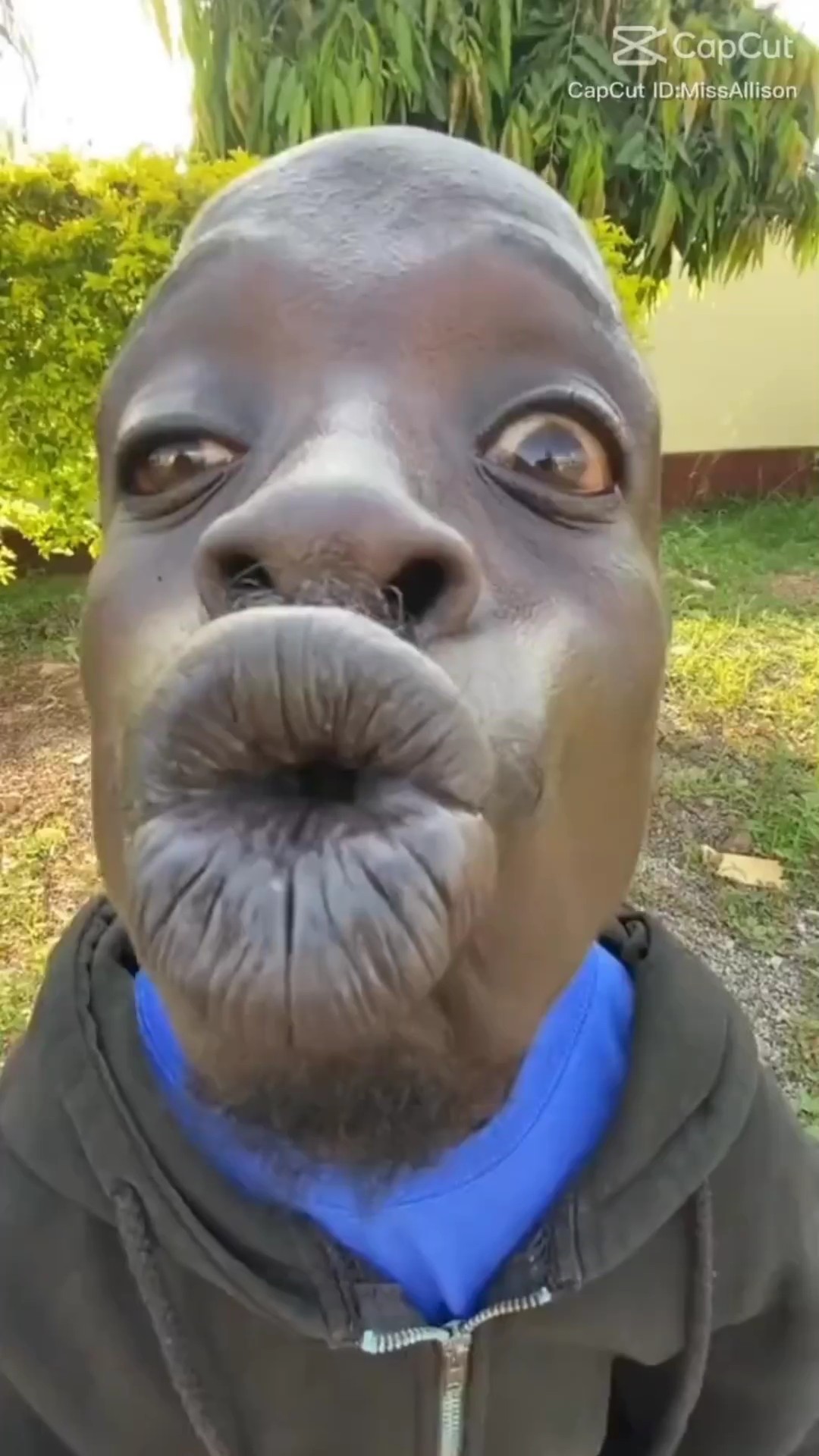 Straight Face Memes - Pippit