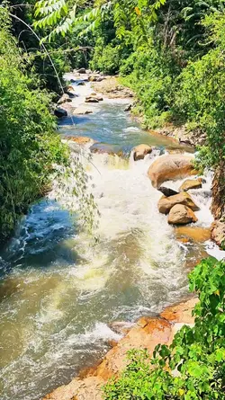 River Flows