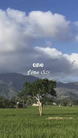 minivlog aesthetic