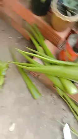 ងាយៗ