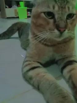 janganlupatersenyum