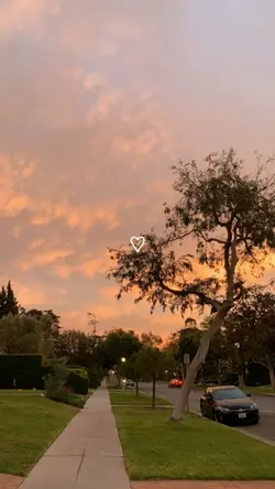 Sunset Estetik
