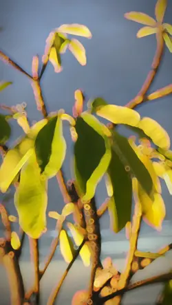 cinematic slowmo