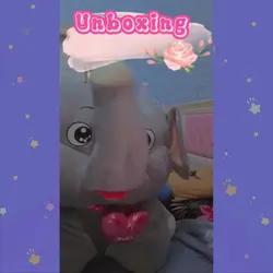 Unboxing Aesthetic 