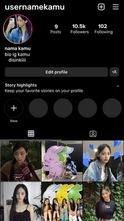 prank ig