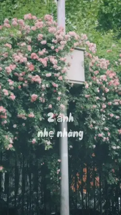 |2| ảnh nhẹ nhàng🫧