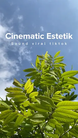 Sound Tiktok Viral