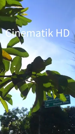 Cinematic healling