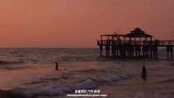 Vlog estetik
